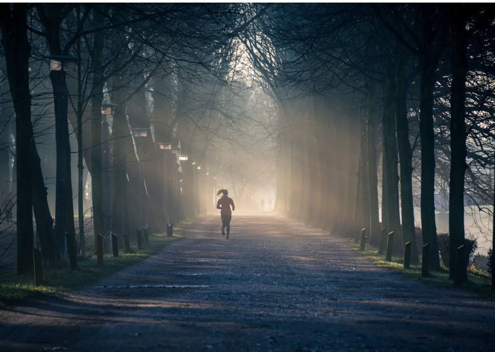 Morning Exercise vs. Evening Exercise : How Big of a Difference Does It Really Make?